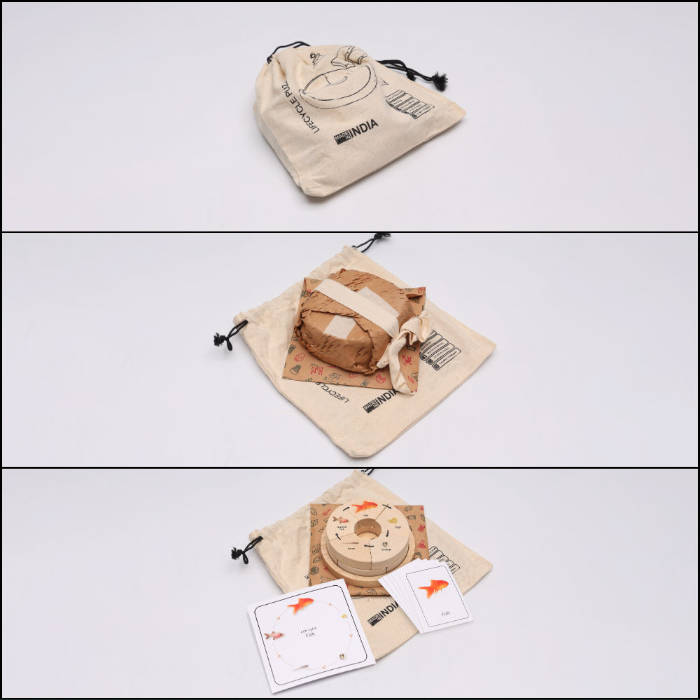 Life Cycle Puzzle - Oviparous